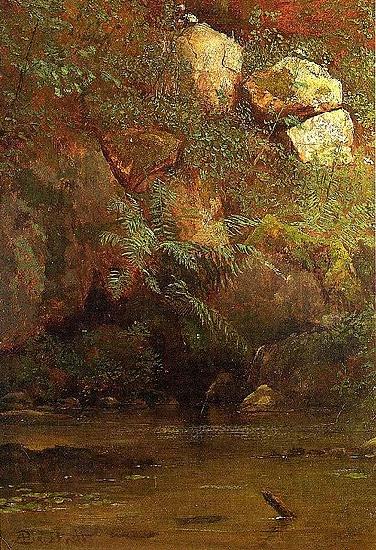 Albert Bierstadt Ferns_and_Rocks_on_an_Embankment oil painting picture